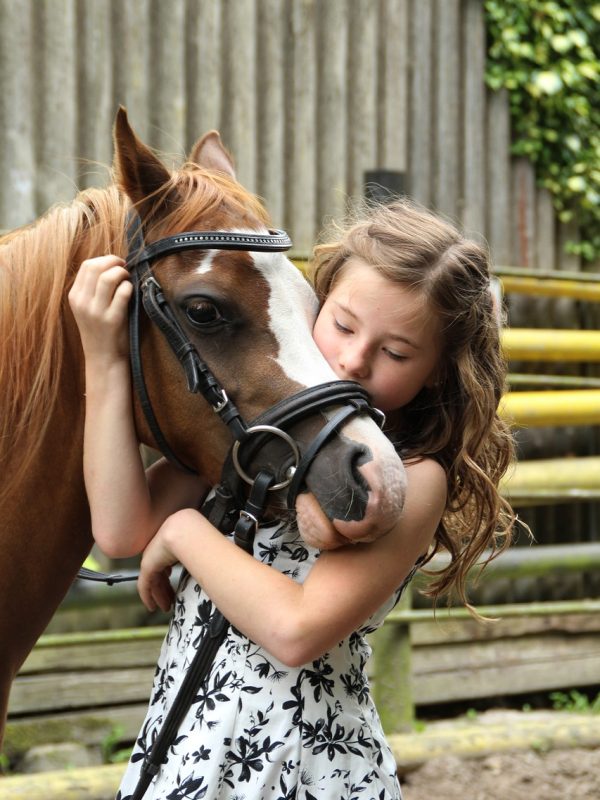 pony-2595144_1280.jpg